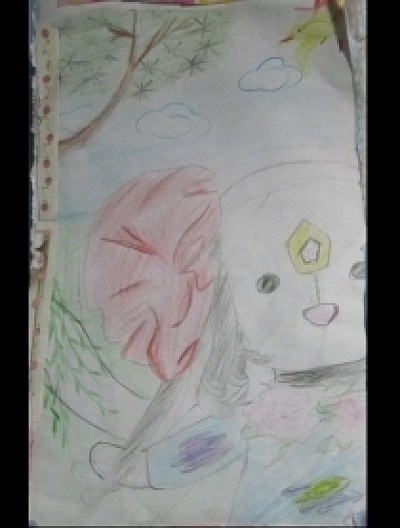 枫绘本-枫漫画系列